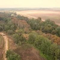 71 Acres in Sunflower County in Ruleville MS images 3