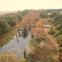 71 Acres in Sunflower County in Ruleville MS images 5