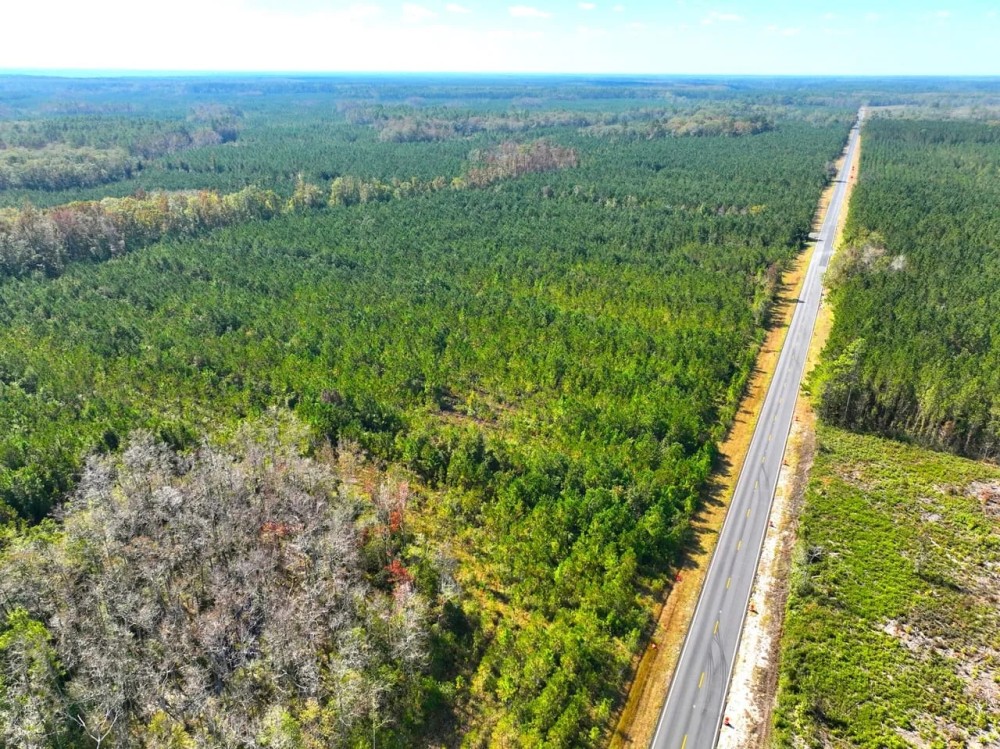 1 901 - Ac White Oak Timberland Tract in Camden County GA featured image