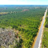 1 901 - Ac White Oak Timberland Tract in Camden County GA