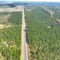 1 901 - Ac White Oak Timberland Tract in Camden County GA images 5