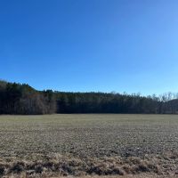 48 Acres in Lafayette County MS images 2
