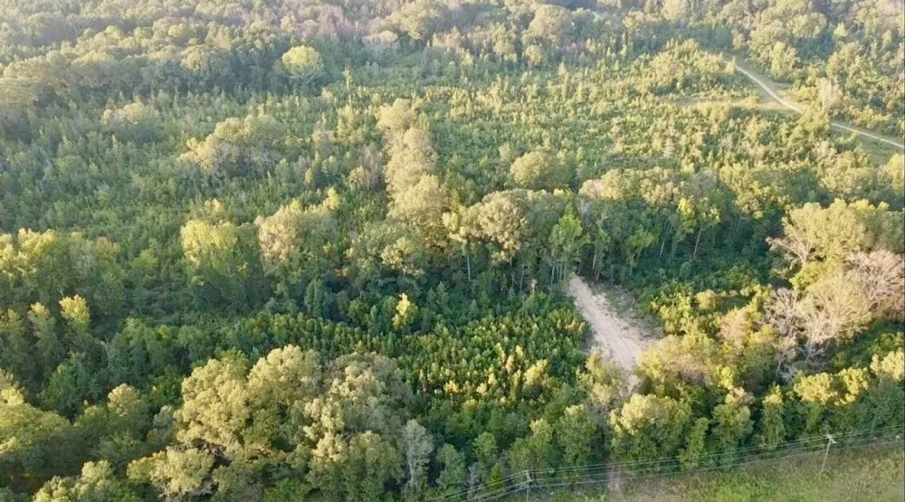 100 Acres of Prime Development or Country Homesite featured image