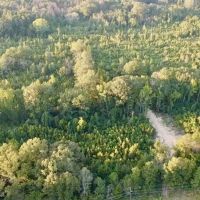 100 Acres of Prime Development or Country Homesite