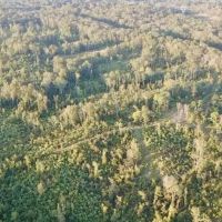 100 Acres of Prime Development or Country Homesite images 3