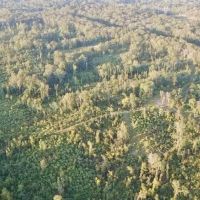 100 Acres of Prime Development or Country Homesite images 4