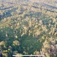100 Acres of Prime Development or Country Homesite images 5