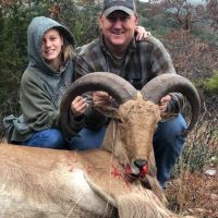 Paige aoudad