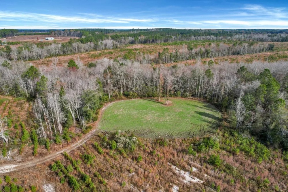 Wilderness Retreat Prime Timberland and Hunting Oasis featured image