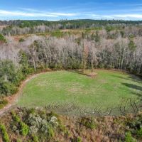 Wilderness Retreat Prime Timberland and Hunting Oasis images 4