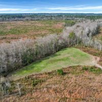 Wilderness Retreat Prime Timberland and Hunting Oasis images 5
