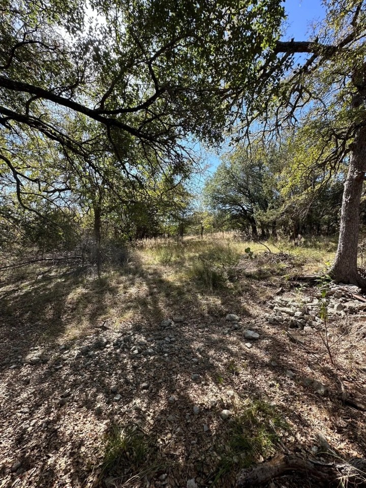 30 Acres of Beautiful Tree-Covered Land in Lampasas Texas Ideal for Hunting Homesite featured image