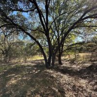 30 Acres of Beautiful Tree-Covered Land in Lampasas Texas Ideal for Hunting Homesite images 2