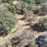 30 Acres of Beautiful Tree-Covered Land in Lampasas Texas Ideal for Hunting Homesite images 5