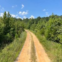 30 - Acres for Sale Bienville LA images 3