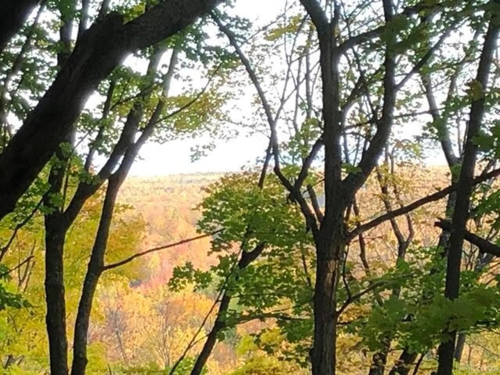 40 Acre Wooded Parcel 50155900 featured image