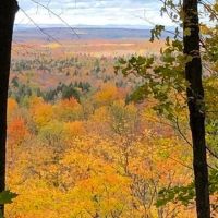 40 Acre Wooded Parcel 50155900 images 2