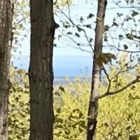 40 Acre Wooded Parcel 50155900 images 4