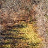 Shepherd Road Acres images 5