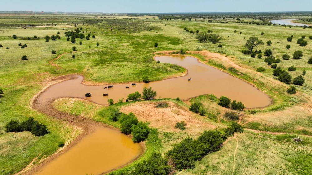 1606 Acres Pasture Timber Ponds More AUction 9 14 featured image