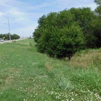 1606 Acres Pasture Timber Ponds More AUction 9 14 images 2