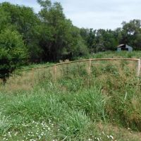 1606 Acres Pasture Timber Ponds More AUction 9 14 images 3