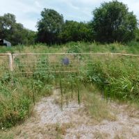 1606 Acres Pasture Timber Ponds More AUction 9 14 images 4