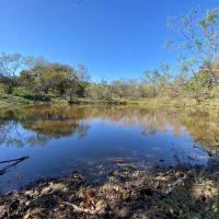 New Listing 11.747 Acres Comanche County