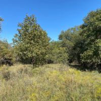 New Listing 11.747 Acres Comanche County images 2
