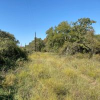 New Listing 11.747 Acres Comanche County images 4