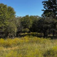 New Listing 11.747 Acres Comanche County images 5