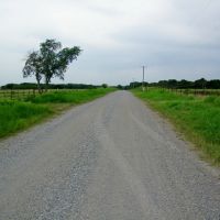 20 Acre Pasture or Homesite images 2