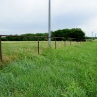 20 Acre Pasture or Homesite images 4