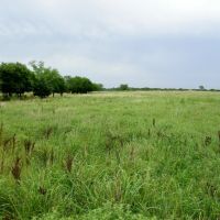 20 Acre Pasture or Homesite images 5