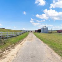 Turn-Key Premier Cattle Farm For Sale in Nebo KY