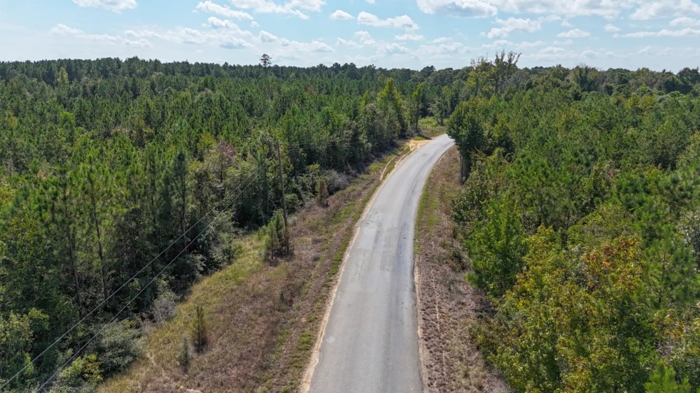 LA - Ouachita 53 acres - featured image