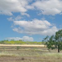 Quinta Creek Ranch images 5