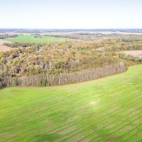 Warriner Farms images 4