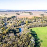Warriner Farms images 5