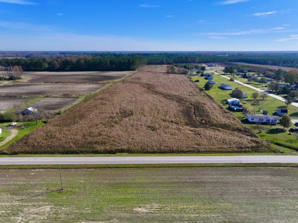 17.62 acres of Farm and Timber Land For Sale in Edgecombe County NC featured image