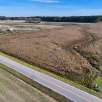 17.62 acres of Farm and Timber Land For Sale in Edgecombe County NC images 2