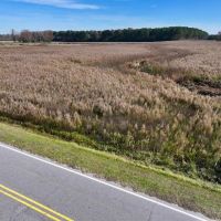 17.62 acres of Farm and Timber Land For Sale in Edgecombe County NC images 3