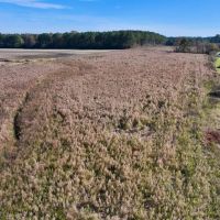 17.62 acres of Farm and Timber Land For Sale in Edgecombe County NC images 4