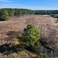 17.62 acres of Farm and Timber Land For Sale in Edgecombe County NC images 5