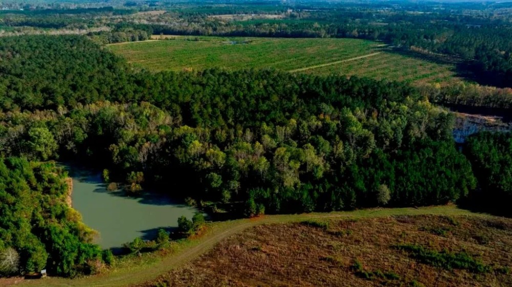 Water Oak Farm featured image