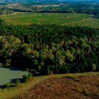 Water Oak Farm