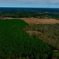 Water Oak Farm images 3