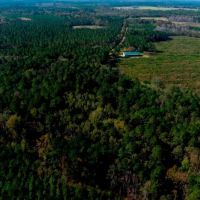 Water Oak Farm images 4