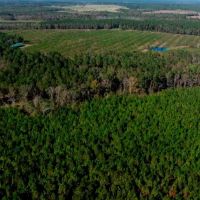 Water Oak Farm images 5