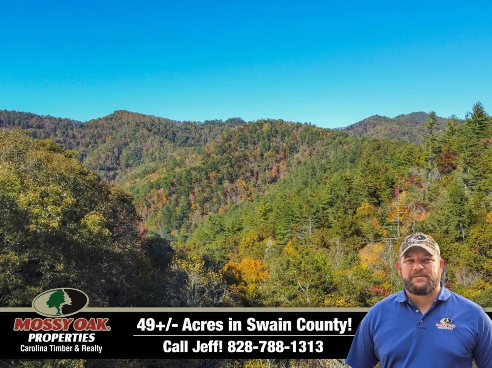 49 - Acres in Swain County featured image